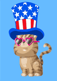 Independence Day Cat GIF by Bill Greenhead