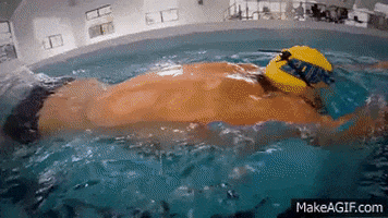 skillsnt giphyupload GIF