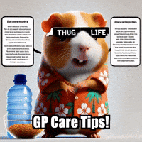 Guinea Pig GIF by Guinea Gambino