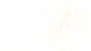 demon GIF by The Exorcist FOX
