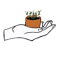 Flower Grow Sticker by DilleKamille