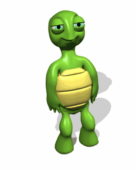 turtle GIF