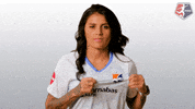 nwsl soccer nwsl new jersey crest GIF