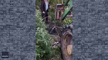 Farmers Using Clamp to Save Cow Stuck in Hole Becomes TikTok Hit
