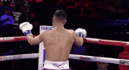 toprank boxing fighting espn fighters GIF