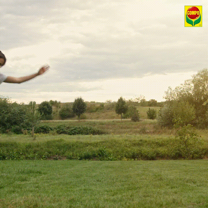 compo giphyupload garden garten compo GIF