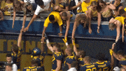 Ncaa Sports Football GIF by WVU Sports