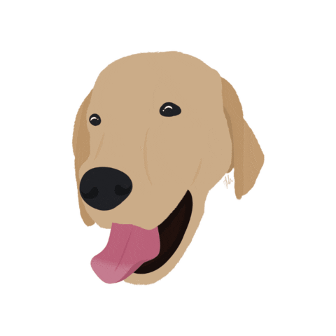 Dog Kiwi Sticker