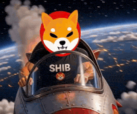 Shiba Inu GIF by SHIB GIFS