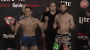 mma GIF by Bellator