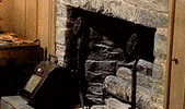 The Birds Film GIF