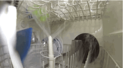 dishwasher running GIF
