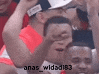 Usa Love GIF
