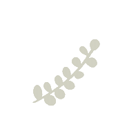 Effects Sticker