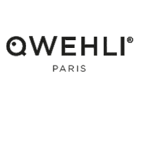 Logo Fish Sticker by QWEHLI