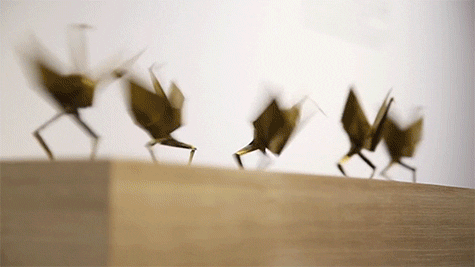 GIF by Digg