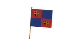 Futbol Bandera Sticker
