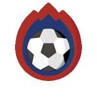 Football Soccer Sticker