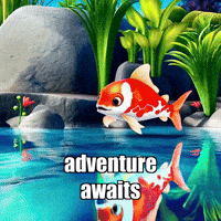 Adventure Wisdom GIF by TheConfishius