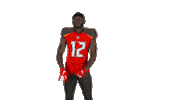 National Football League Smile Sticker by Tampa Bay Buccaneers