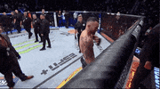 Mixed Martial Arts Sport GIF by UFC