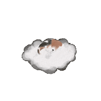 Sleeping Dog Snoozing Sticker