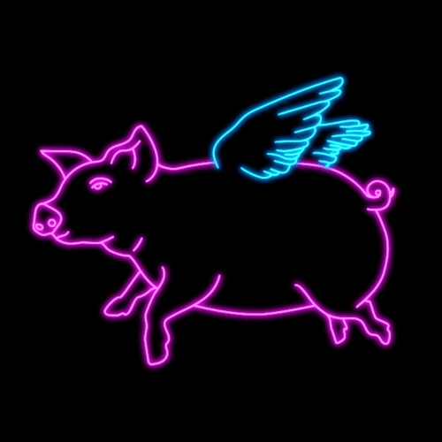 dylanreitz giphyupload neon pig when pigs fly GIF