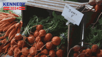 Money Going GIF by Team Kennedy