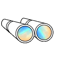 Binoculars Holo Sticker by Format D