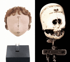 Animation Robot GIF by Alex Boya
