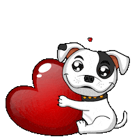 Staffordshire Bull Terrier Staffy Sticker by SBT1935