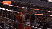 anaheim ducks hockey GIF by NHL