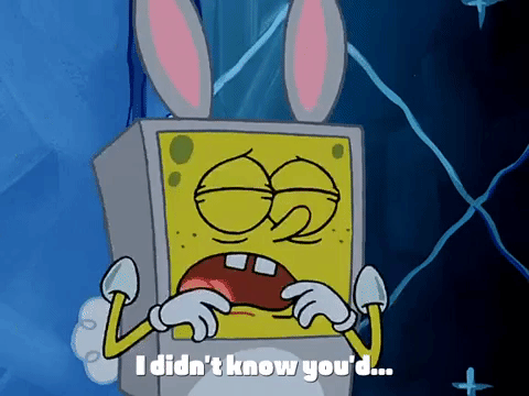 season 3 GIF by SpongeBob SquarePants