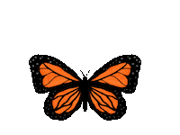 Butterfly Garden Sticker