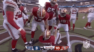 National Football League GIF by NFL