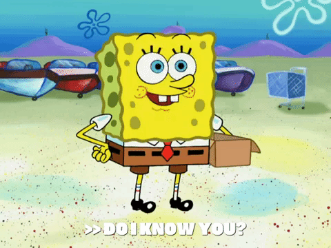 season 6 pet or pets GIF by SpongeBob SquarePants