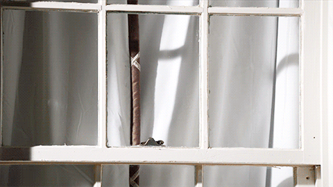 The Blacklist GIF by NBC