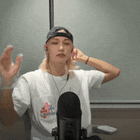 Stray Kids Skz GIF