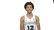 Basketball Flex Sticker by Providence Friars