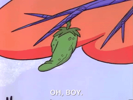 angry beavers nicksplat GIF