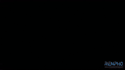 Germany Fitness GIF by RENPHO