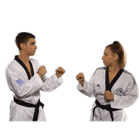 Martial Arts Sport Sticker by OlympiacosSFP