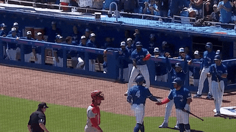 Home Run Baseball GIF by Toronto Blue Jays
