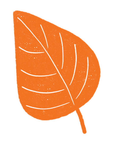 Fall Autumn Sticker by Daniela Nachtigall