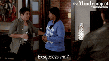 the mindy project GIF by Fox TV