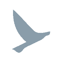 embarkbeyond embarkimmersion embarkbeyond embarkbeyondbrasil Sticker