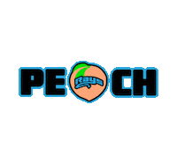 Cheer Rays Sticker by The Stingray Allstars