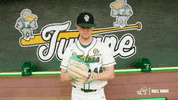 College Baseball Tyler GIF by GreenWave