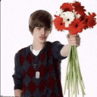 Justin Bieber Flowers GIF