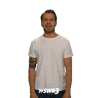 What The Wtf Sticker by SWR3